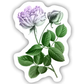 Pastellrose Botanikkunst-Print - Sticker Größe S (10 x 10 cm) - Mattweiß - Vorne