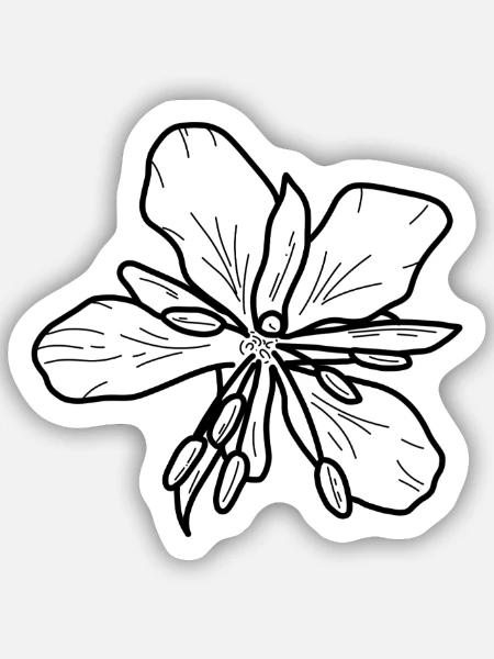Weidenrose – Florales Minimal Design - Sticker Größe S (10 x 10 cm) - Mattweiß