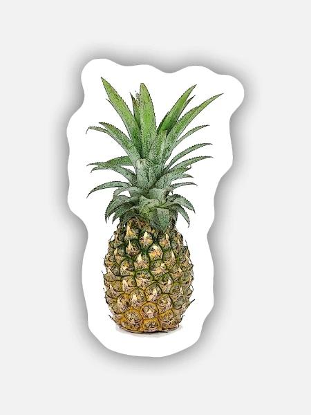 Ananas | Pineapple - Sticker Größe S (10 x 10 cm) - Mattweiß