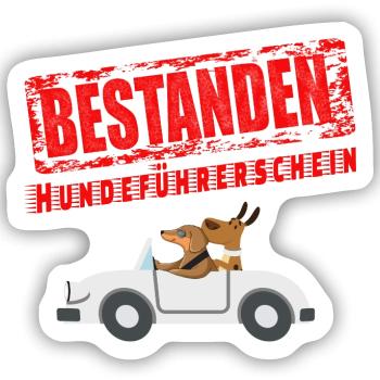 Hundeführerschein bestanden - Sticker Größe S (10 x 10 cm) - Mattweiß - Vorne