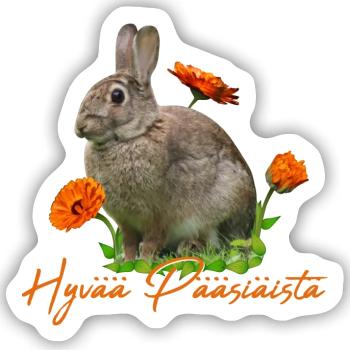 hyvää pääsiäistä Frohe Ostern - Sticker Größe S (10 x 10 cm) - Mattweiß - Vorne