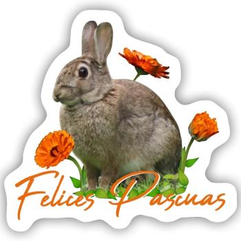 felices pascuas - Sticker Größe S (10 x 10 cm) - Mattweiß - Vorne