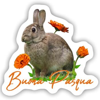 buona pasqua - Sticker Größe S (10 x 10 cm) - Mattweiß - Vorne