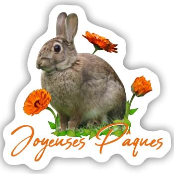 Joyeuses Paques Frohe Ostern - Sticker Größe S (10 x 10 cm) - Mattweiß - Vorne