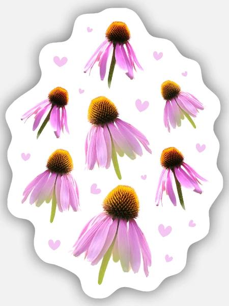 Sonnenhut Coneflower - Sticker Größe S (10 x 10 cm) - Mattweiß