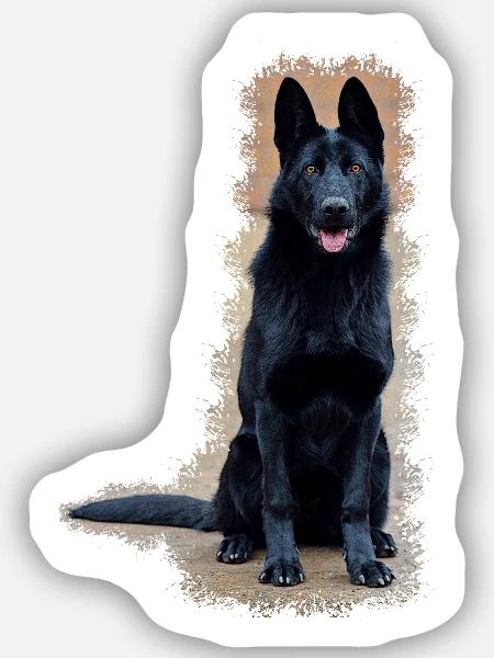 Schwarzer Schäferhund - Sticker Größe S (10 x 10 cm) - Mattweiß