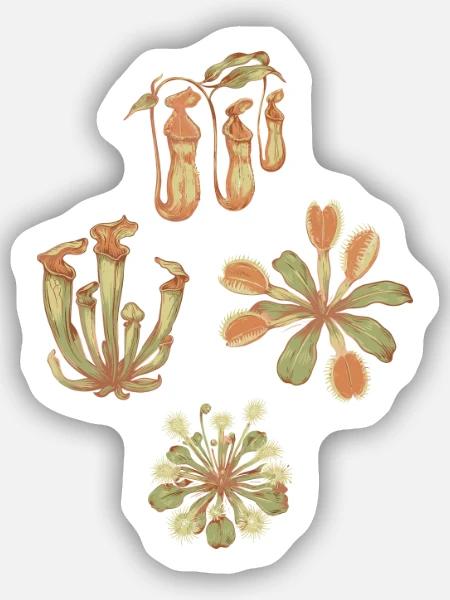 Fleischfresser Pflanzen - Sticker Größe S (10 x 10 cm) - Mattweiß