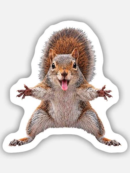 Eichhoernchen - Sticker Größe S (10 x 10 cm) - Mattweiß
