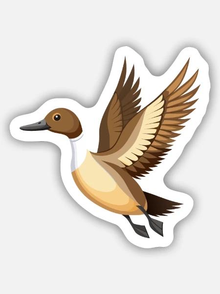 Schwanzente fliegt - Sticker Größe S (10 x 10 cm) - Mattweiß