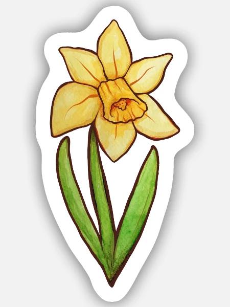 Narzissen-Aquarellblüte - Sticker Größe S (10 x 10 cm) - Mattweiß