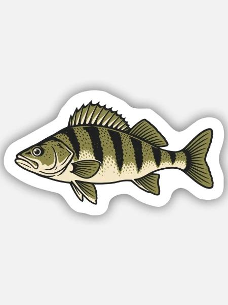 Zander Streifen Naturzeichnung - Sticker Größe S (10 x 10 cm) - Mattweiß