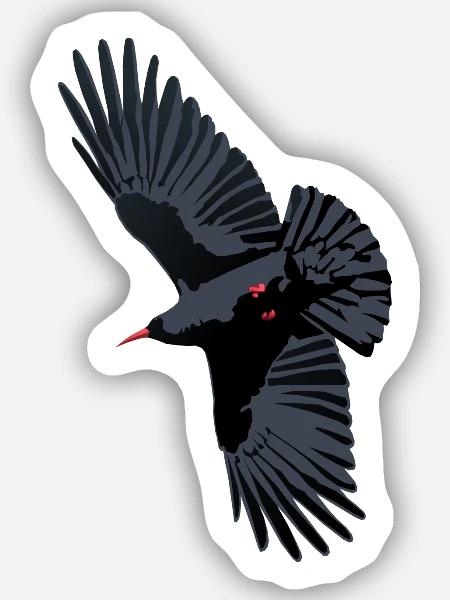 Rotschnabel-Chough-Flug - Sticker Größe S (10 x 10 cm) - Mattweiß
