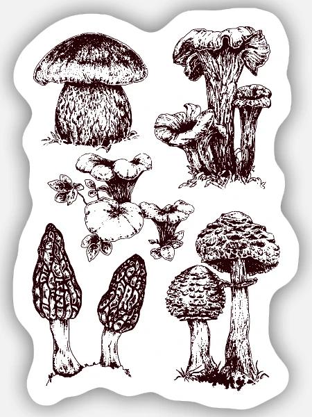 Champignons - Sticker Größe S (10 x 10 cm) - Mattweiß