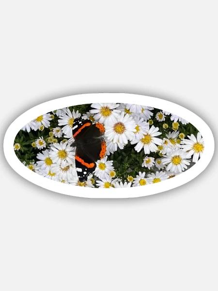 Red Admiral Butterfly auf Asters - Sticker Größe S (10 x 10 cm) - Mattweiß