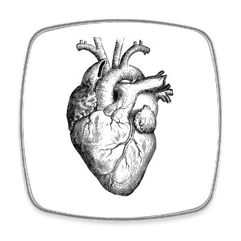 Herz Anatomie - Viereckiger Kühlschrankmagnet - Weiß - Vorne