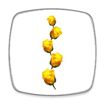 gelbe Rosen - Viereckiger Kühlschrankmagnet - Weiß - Vorne