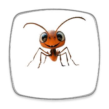 fourmi fourmi de forêt fourmi de feu insecte fourmis mignonnes - Magnet carré - blanc - Devant