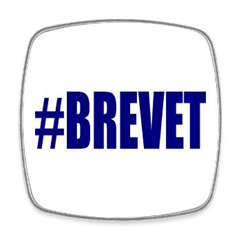 FERRY. BACCALAUREAT. PATENT. DNB. EXAMINATION. WELL DONE - Square fridge magnet - white - Front