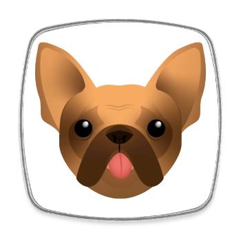 Bouledogue Français - Frenchie - Bully - Langue - Magnet carré - blanc - Devant
