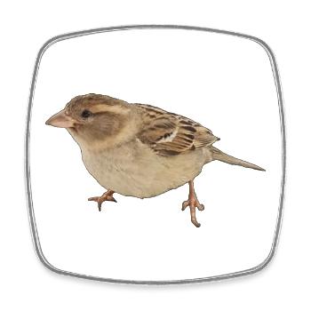 Vogel - Viereckiger Kühlschrankmagnet - Weiß - Vorne