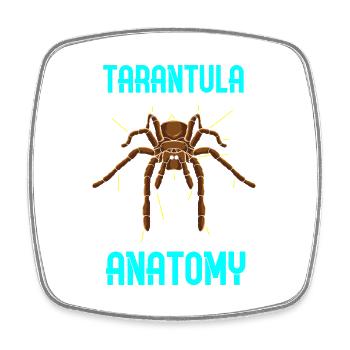 Anatomie de l’araignée tarante - Graphique drôle - Magnet carré - blanc - Devant