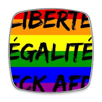 LIBERTÉ ÉGALITÉ FCK AFD REGENBOGEN FCK NZS, NO NZS - Viereckiger Kühlschrankmagnet - Weiß - Vorne