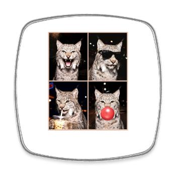 Luchse Luchs - Viereckiger Kühlschrankmagnet - Weiß - Vorne