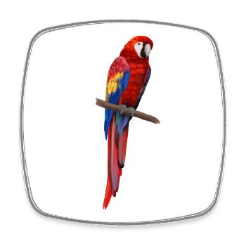 Ara Papagei - Bunter Vogel auf einem Ast - Viereckiger Kühlschrankmagnet - Weiß - Vorne