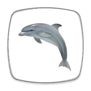 Springender Delfin - Realistisch gemalt - Viereckiger Kühlschrankmagnet - Weiß - Vorne
