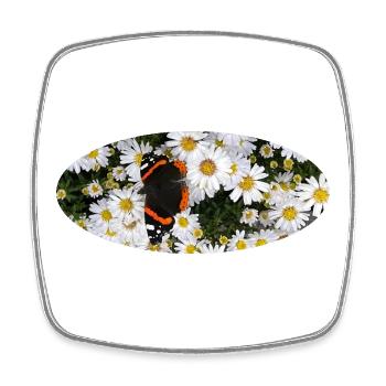Red Admiral Butterfly auf Asters - Viereckiger Kühlschrankmagnet - Weiß - Vorne