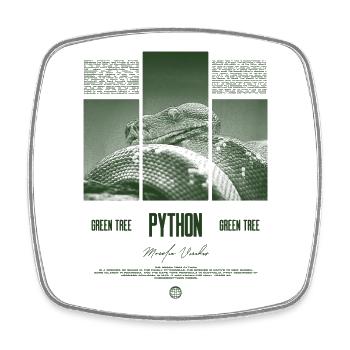 Green Tree Python Modern Reptile Keeper Streetwear - Viereckiger Kühlschrankmagnet - Weiß - Vorne