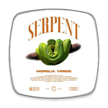 Green Tree Python Modern Reptile Keeper Streetwear - Viereckiger Kühlschrankmagnet - Weiß - Vorne