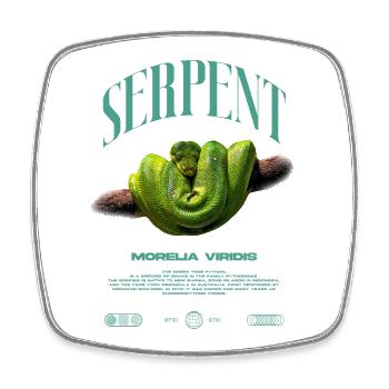 Green Tree Python Modern Reptile Keeper Streetwear - Viereckiger Kühlschrankmagnet - Weiß - Vorne