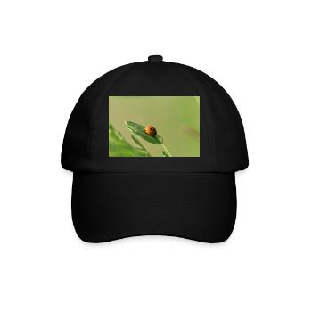 Marienkäfer Käferchen Maikäfer - Baseballkappe - Schwarz/Schwarz - Vorne