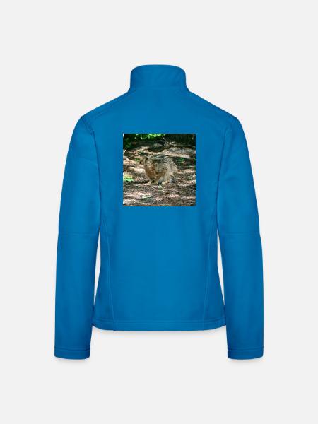 Brauner Hase sitzt im Park - Frauen Softshelljacke - Lichtblau
