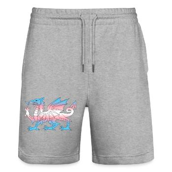 Wales Trans Flag, Baner Trans Cymru, Transgender - Stanley/Stella Trainer Unisex Organic Jogging Shorts - heather grey - Front - Nik (191cm) & Marisol (170cm)