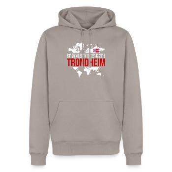 Trondheim - Männer Premium Bio Hoodie - Taupe - Vorne - Nico (187cm)