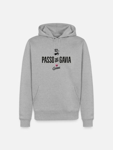 Gavia Pass - Männer Premium Bio Hoodie - Grau meliert