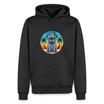 Neapolitan Mastiff Dog Breed Cartoon Sunglasses - Men’s Premium Organic Hoodie - heather anthracite - Front - Thijin (182cm)