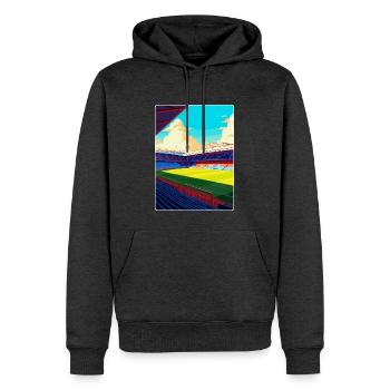 Affiche de voyage souvenir du stade de Selhurst Park WPA - Sweat à capuche Premium bio Homme - anthracite chiné - Devant - Thijin (182cm)