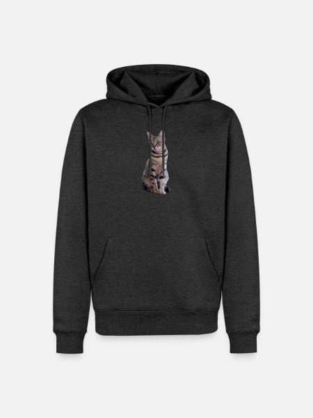 Katze Katzen Süßes Kätzchen Weihnachtsgeschenk - Männer Premium Bio Hoodie - Anthrazit meliert