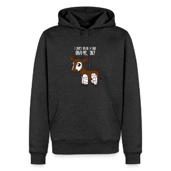 Okapi - Männer Premium Bio Hoodie - Anthrazit meliert - Vorne - Thijin (182cm)