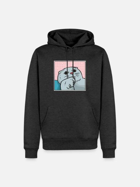 Kuschelweiche Foldex Rassekatze - Männer Premium Bio Hoodie - Anthrazit meliert