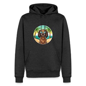 Deutsch Langhaar Vorstehhund Rasse Cartoon Strand - Männer Premium Bio Hoodie - Anthrazit meliert - Vorne - Thijin (182cm)