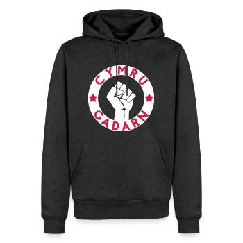Cymru Gadarn - Männer Premium Bio Hoodie - Anthrazit meliert - Vorne - Thijin (182cm)