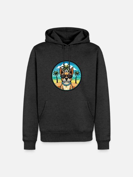Braque Du Bourbonnais Hunderasse Cartoon Sonnenbrille - Männer Premium Bio Hoodie - Anthrazit meliert