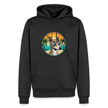Polnischer Windhund Hund Rasse Cartoon Sonnenbrille Strand - Männer Premium Bio Hoodie - Anthrazit meliert - Vorne - Thijin (182cm)