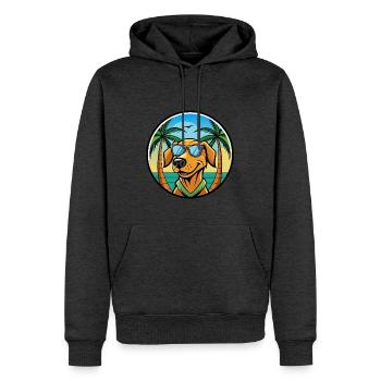 Litauischer Windhund Rasse Cartoon Sonnenbrille Strand - Männer Premium Bio Hoodie - Anthrazit meliert - Vorne - Thijin (182cm)