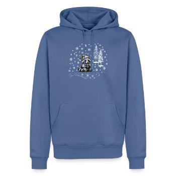 Waschbär Schnee /raccoon snowflakes Weihnachten - Männer Premium Bio Hoodie - Taubenblau - Vorne - Nico (187cm)