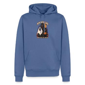 Spooky Night Loyal Company – Neufundländer Hundemama - Männer Premium Bio Hoodie - Taubenblau - Vorne - Nico (187cm)